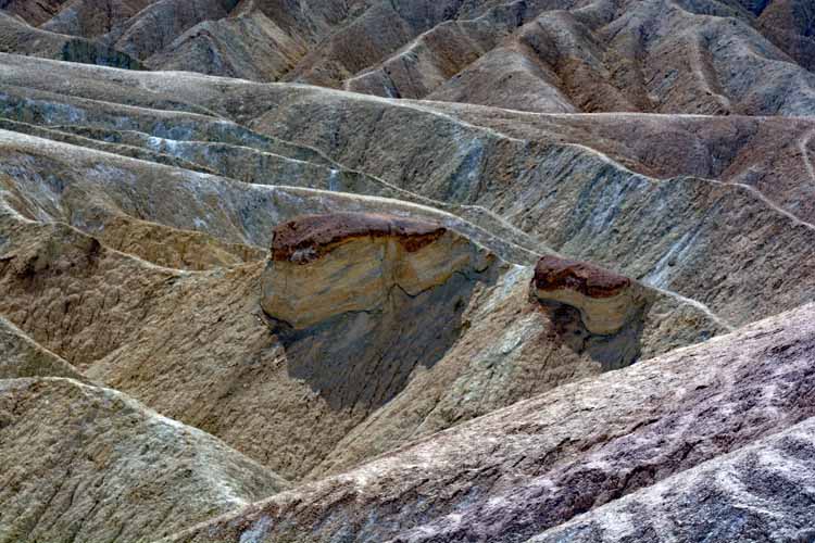 mustard-colored hills